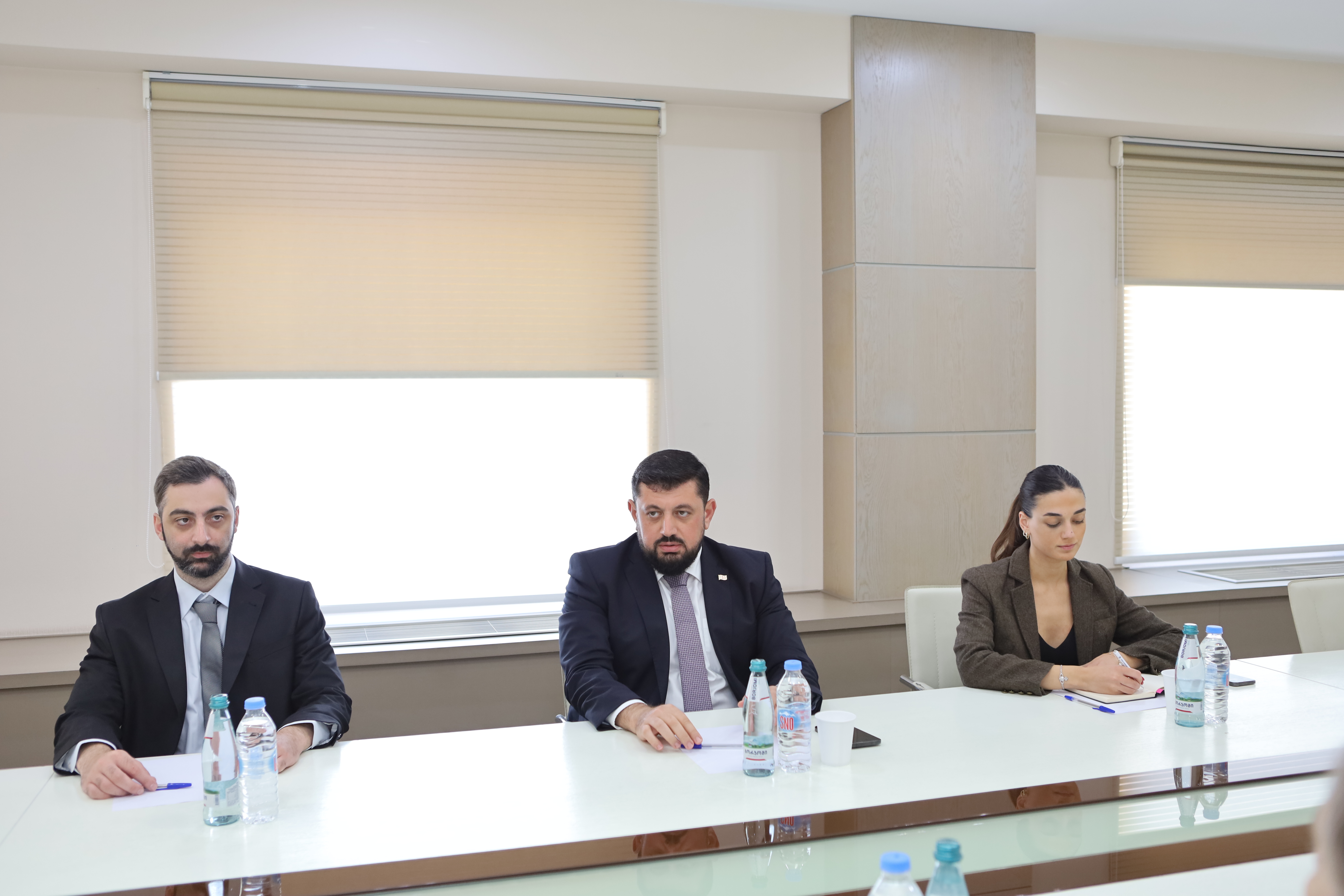 Razhden Kuprashvili, Head of the Anti-Corruption Bureau, met with Natasha Rothchild, Mission Director of the National Democratic Institute (NDI)